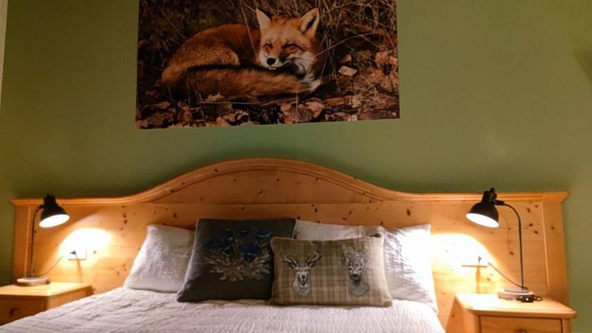 Chambre d’hôte pour 3 personnes, avec jardin ainsi que jacuzzi et sauna à Canal San Bovo - 4