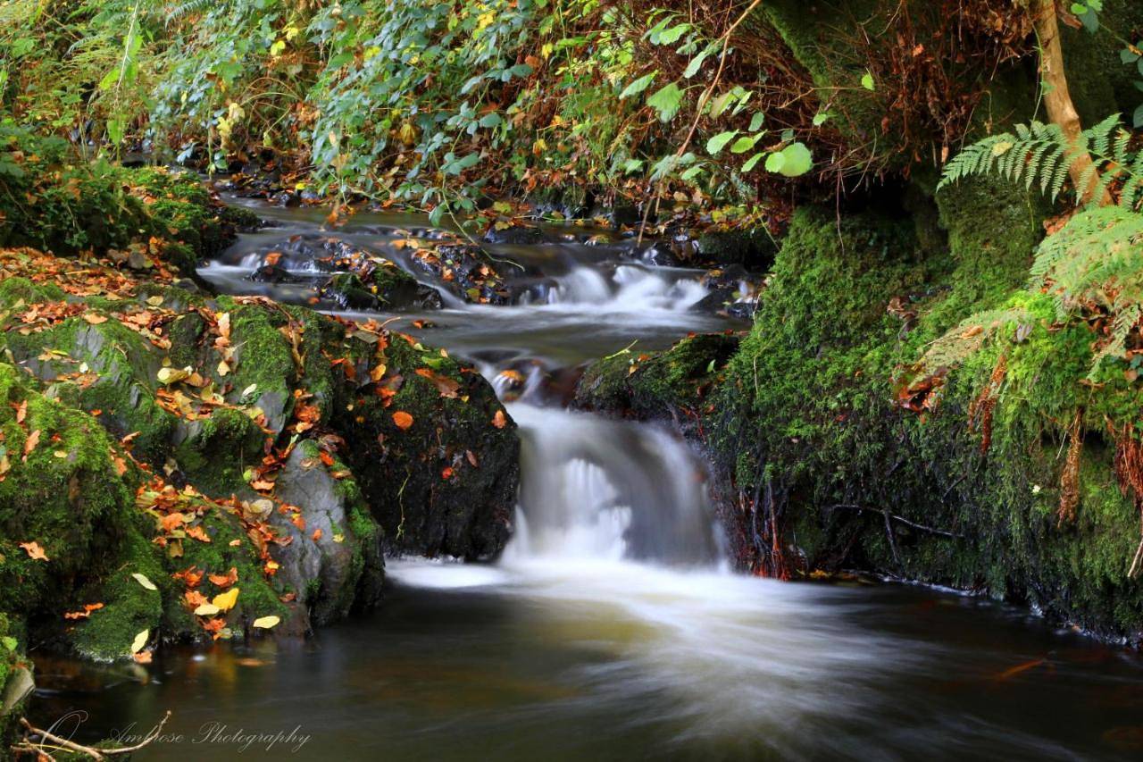 Serenity Lodge in Carmarthenshire