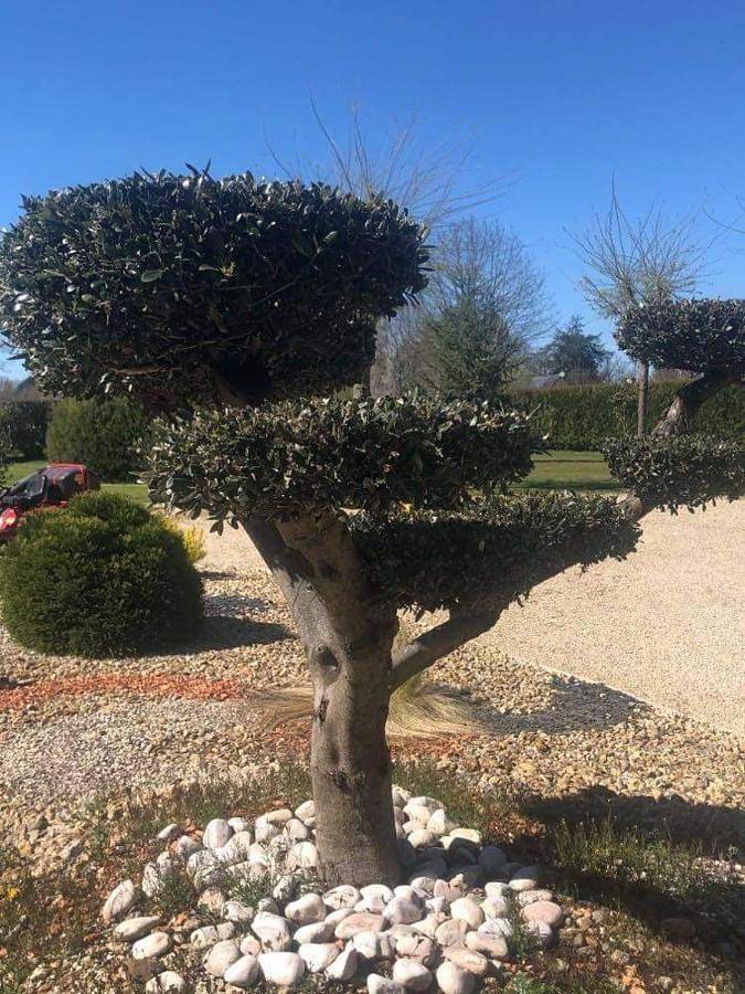 Chambre d’hôte pour 2 personnes, avec piscine et vue ainsi que jardin et terrasse en Loire-Atlantique - 3