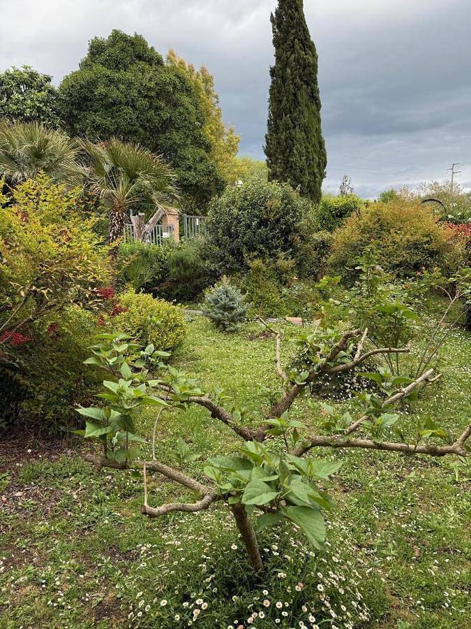Gîte pour 2 personnes, animaux acceptés à Giove - 2