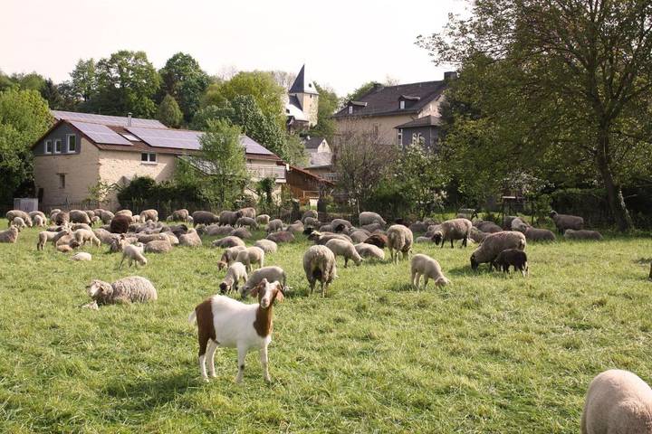 Ferienwohnung für 4 Personen, mit Balkon und Terrasse sowie Garten und Ausblick in Runkel