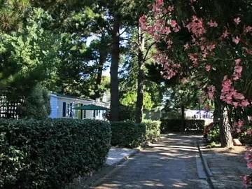 Camping para 6 Personas en Argelès-sur-Mer, Côte d'Améthyste, Foto 2
