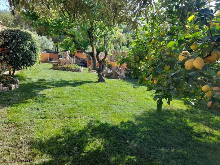 Maison d’hôte pour 3 personnes, avec jardin à San Teodoro - 3