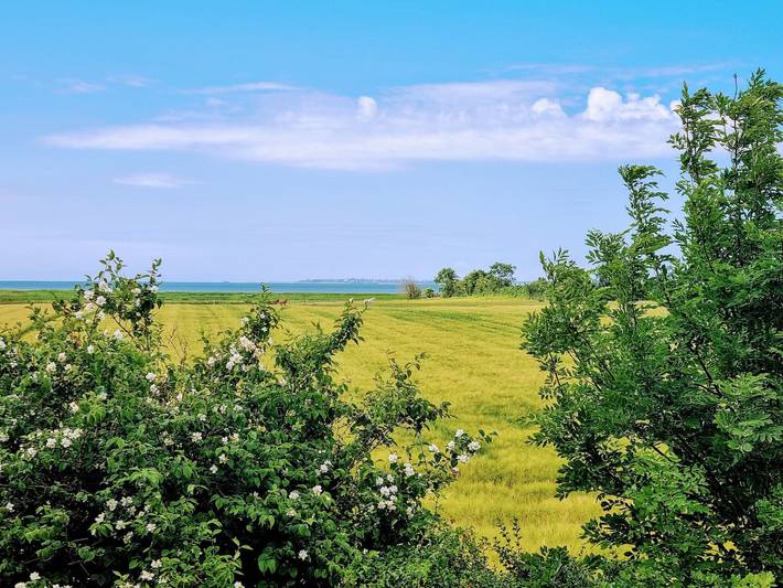 Ferienwohnung für 4 Personen, mit Garten in Borgsum - 2