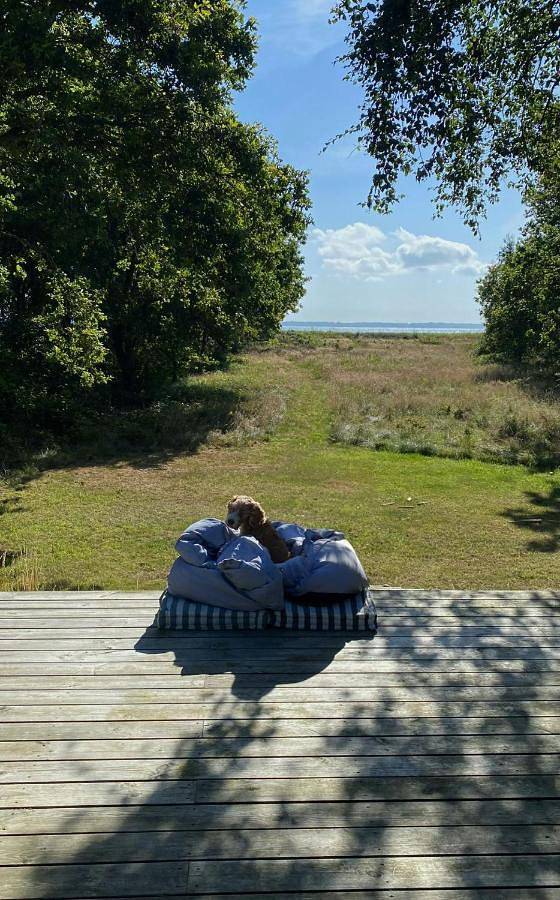 Ferienhaus für 5 Personen, mit Terrasse in Serup Strand - 4