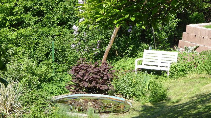 Ferienwohnung für 3 Personen, mit Terrasse und Garten in Michelstadt - 2