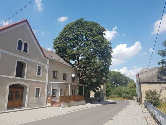 Zimmer für 2 Personen, mit Garten - 1