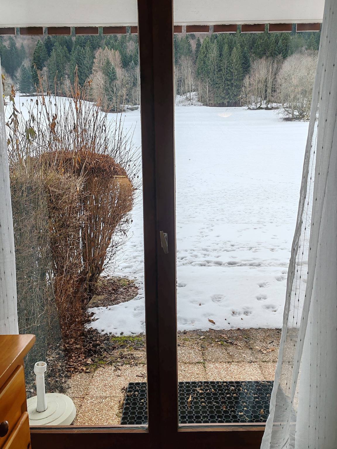 Studio entier, Studio « Cœur des Neiges » avec vue sur la montagne et terrasse partagée in Bernex, Région de Thonon-les-Bains