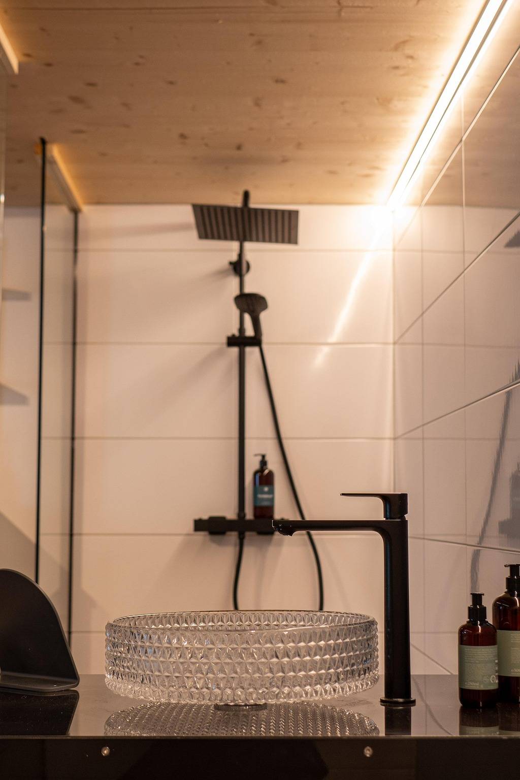 Ganze Ferienwohnung, Almrose, Schneerose, Brunelle in Tuxer Alpen, Navis