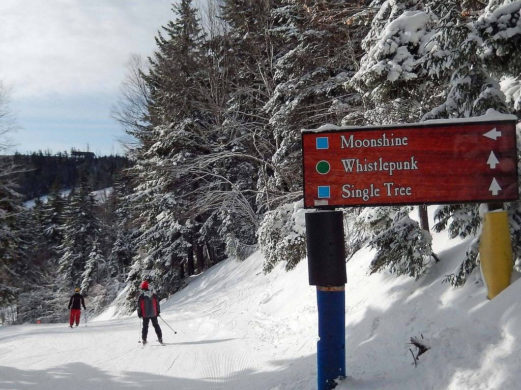 Ganze Wohnung, 2 Br: Whistlepunk 11 in Snowshoe, Greenbrier River