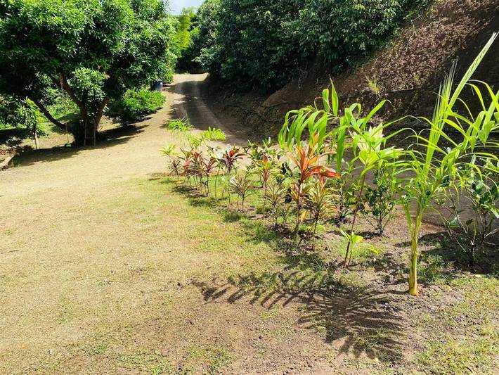 Location de vacances pour 7 personnes, avec terrasse ainsi que jardin et vue dans Atuona - 2