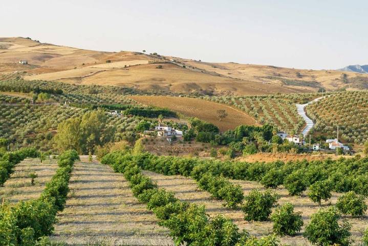Location de vacances pour 7 personnes, avec jardin ainsi que vue et piscine à Casarabonela - 4