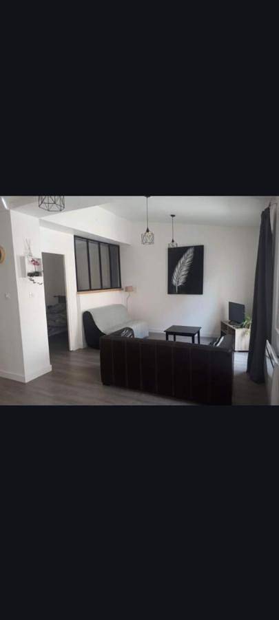 Gîte pour 4 personnes, animaux acceptés à Albon - 3