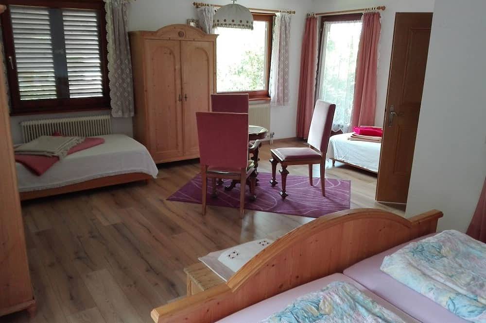 Haus Fink - Igls in Tux Alps, Innsbruck