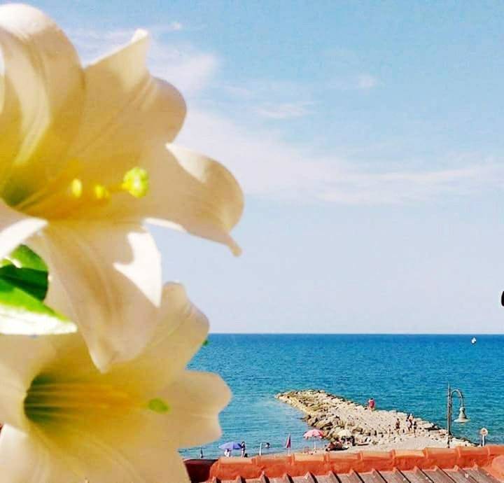 Al Giglio - Affittacamere in Cariati Marina, Cariati