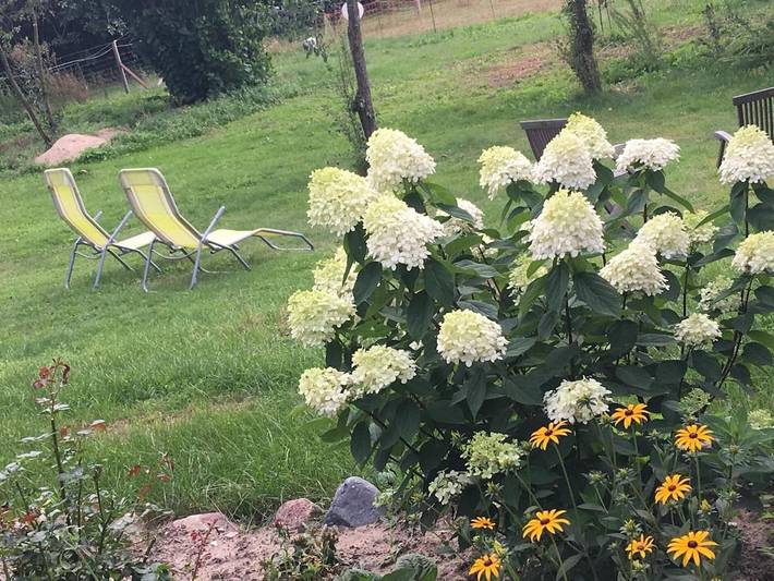 Ferienwohnung für 4 Personen, mit Terrasse und Garten sowie Ausblick in Prebberede - 4