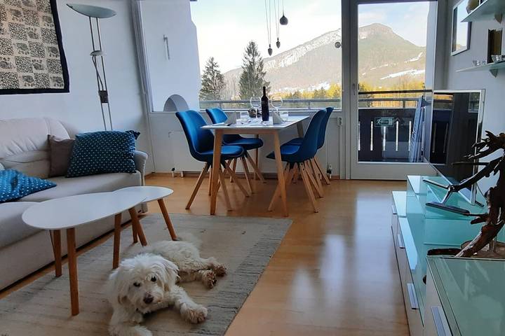 Entire holiday apartment, Lebensfreude Appartement - Holiday home in Bad Goisern, Dachstein Salzkammergut