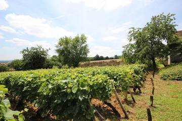 Gîte pour 6 Personnes dans Buxy, Région de Chalon-sur-Saône, Photo 2