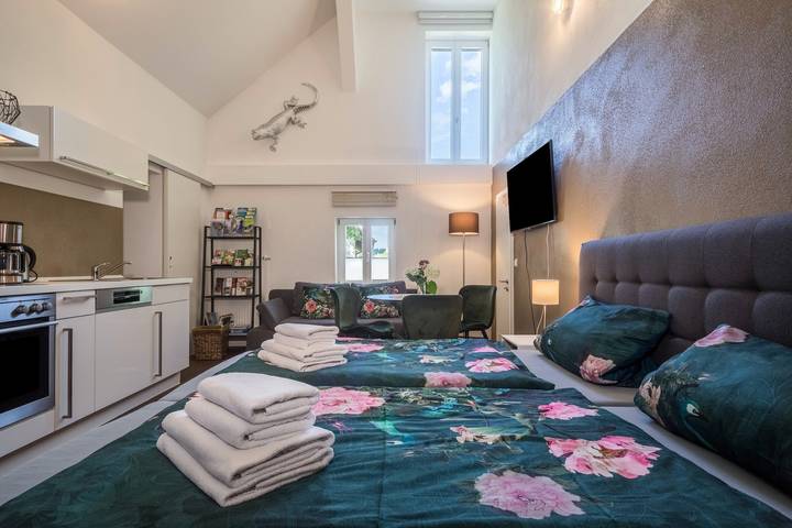 Gîte pour 4 personnes, avec jardin, adapté aux familles à Meckenbeuren - 4