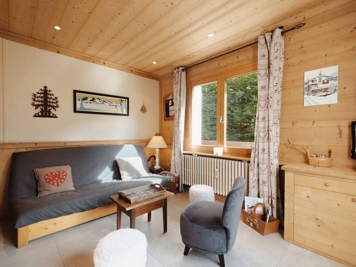 Ganze Wohnung, Helle Wohnung, nahe Pisten, Haustiere erlaubt in La Clusaz, Annecy und Umgebung