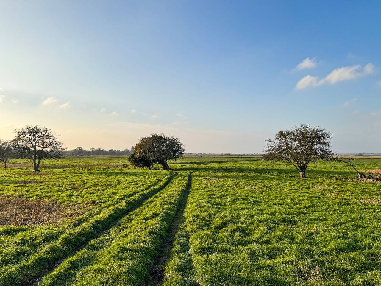 Orchard Barn in The Broads