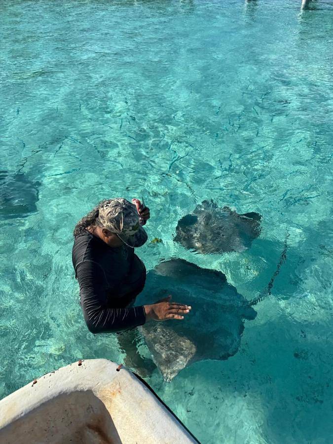 Gîte pour 2 personnes, avec terrasse et vue dans Maupiti - 3