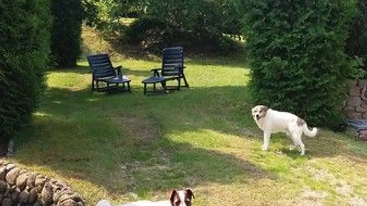Ferienhaus für 3 Personen (85 m²) in Schwarz in Schwarz, Mecklenburgische Seenplatte