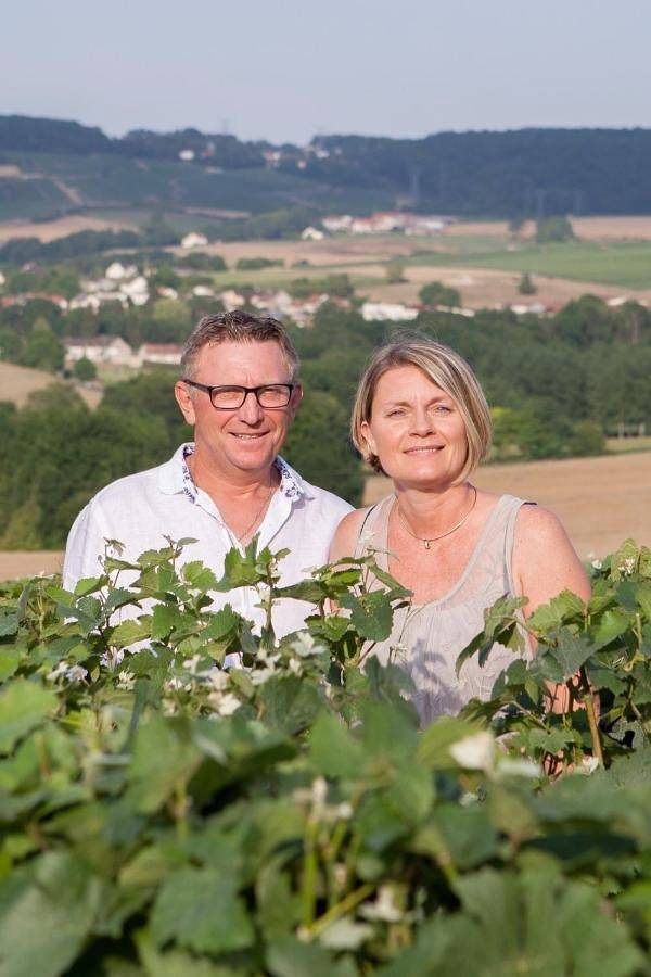 Gîte pour 12 personnes, avec vue et jardin à Festigny