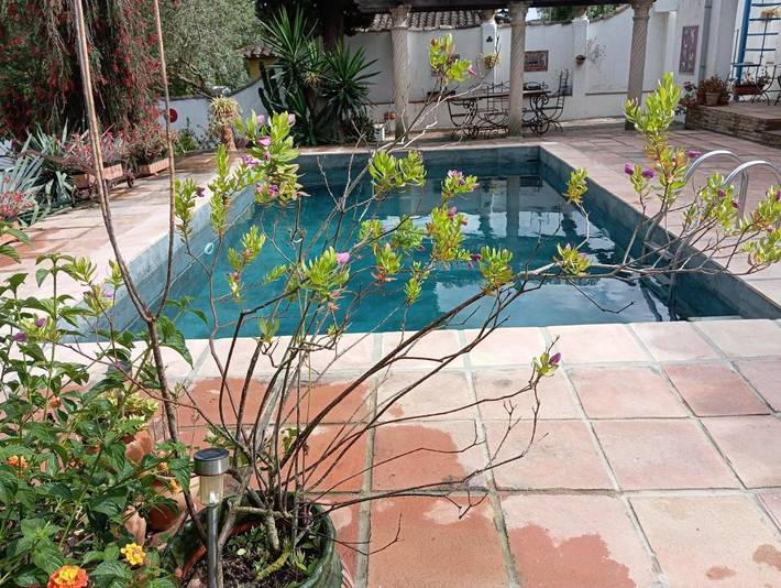 Location de vacances pour 6 personnes, avec jardin ainsi que piscine et vue, animaux acceptés à Jimena de la Frontera - 2