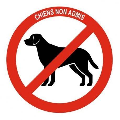 Location de vacances pour 2 personnes, avec jardin ainsi que vue et terrasse, animaux acceptés à Saint-Michel-de-Maurienne - 2