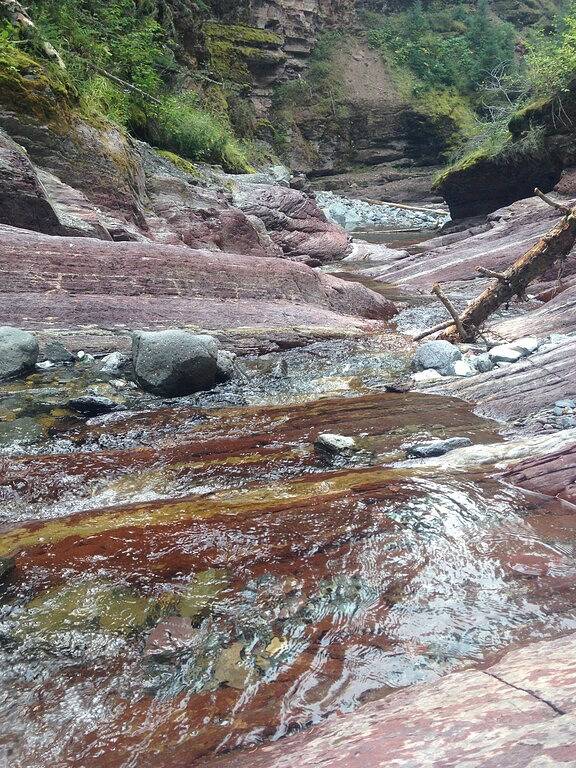 Schönes Familienhaus 15 Minuten von Waterton, Ab !! in Castle Mountain