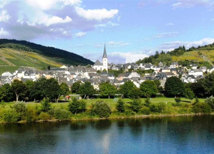 Ferienpark für 11 Personen, mit Terrasse und Ausblick, mit Haustier an der Mosel