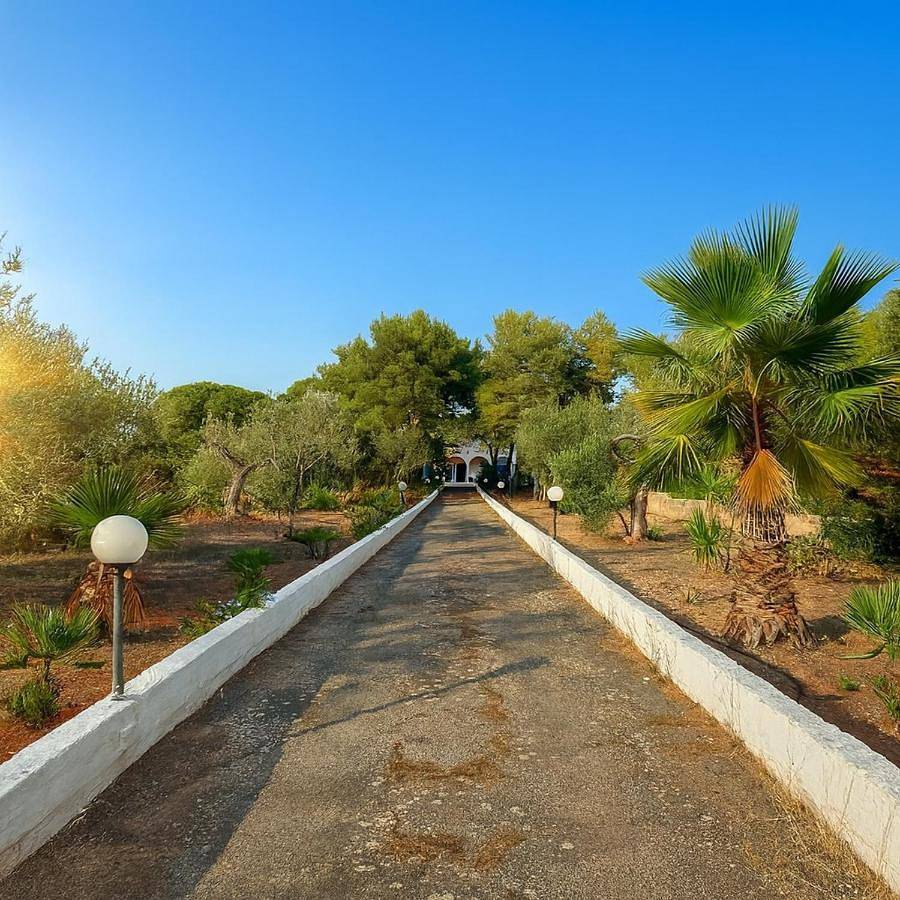 Villa nel Salento con piscina e ulivi in Nardò, Nardò (comune)