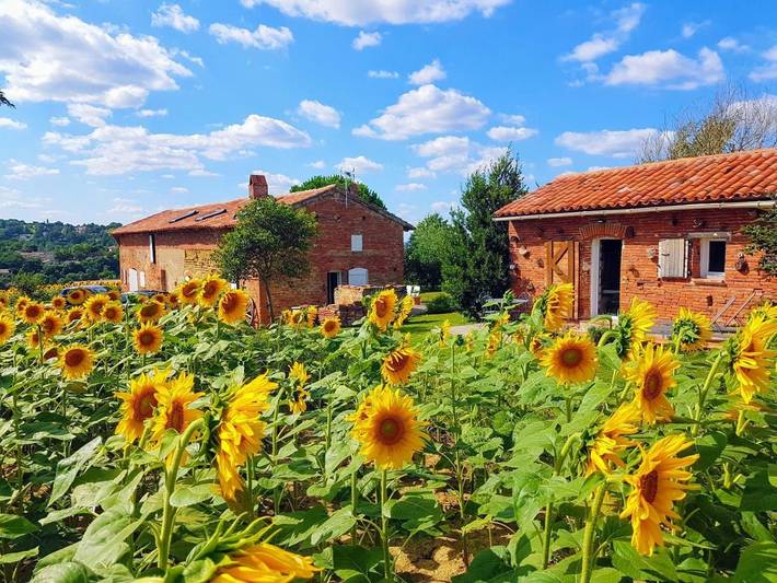 Cottage pour 4 personnes, avec vue et jardin à Deyme