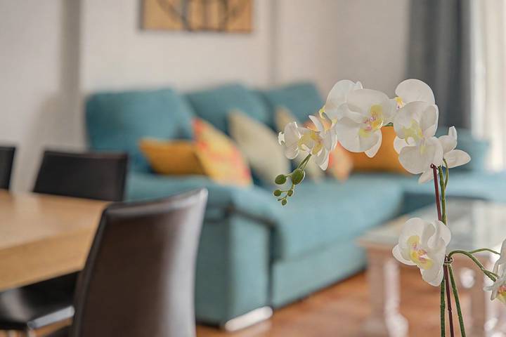 Geheel appartement, Vakantieappartement 'Albatros Park' met gedeeld zwembad, wifi en airconditioning in Las Adelfas, San Miguel de Abona