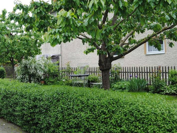 Ferienwohnung in Kötz mit Wifi in Kötz, Bayerisch Schwaben