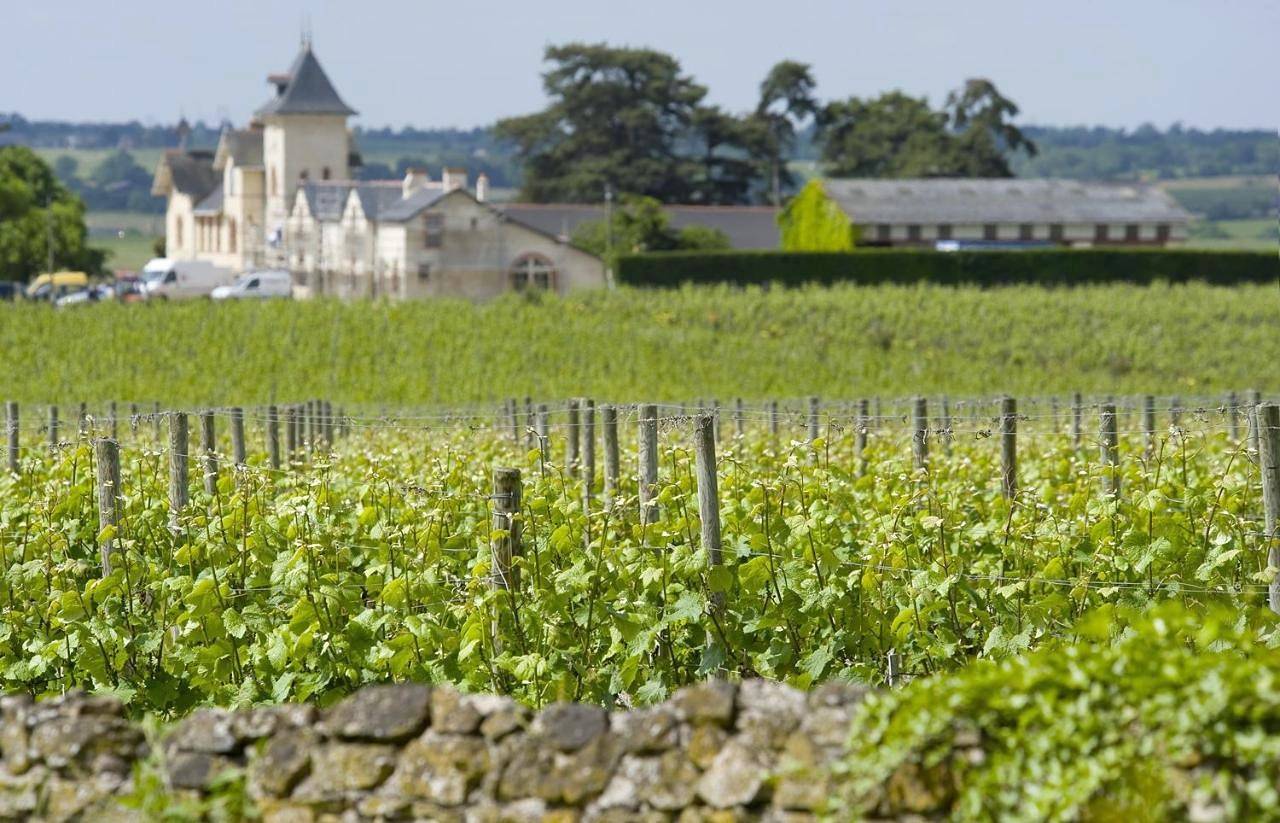 Standard Double Room in Beaulieu-sur-Layon, Vallée de la Loire