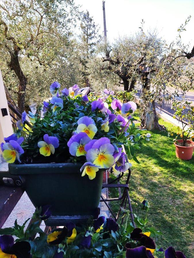 Appartement entier, Appartamenti Bellini in Cisano, Bardolino