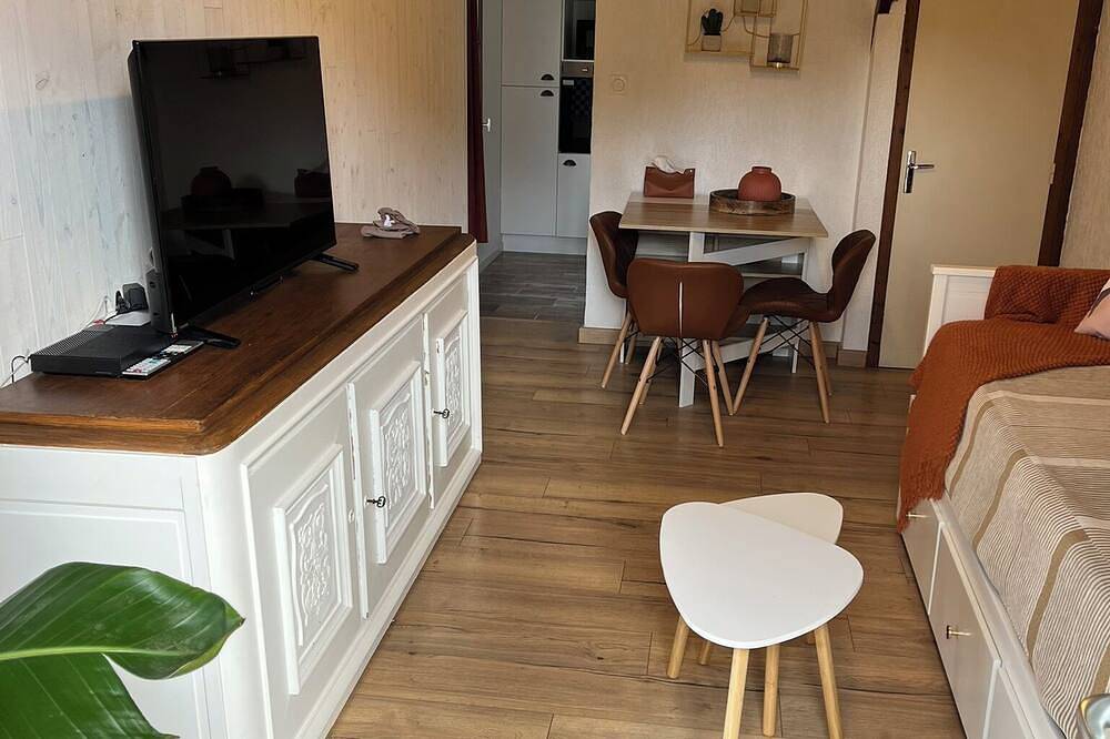 House with small garden in the heart of Sologne. Near Beauval and castles. in Romorantin-Lanthenay, Sologne