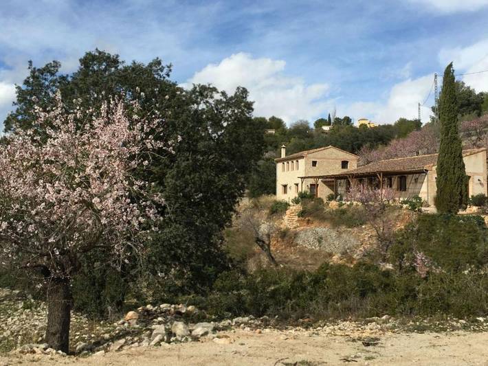 Location de vacances pour 2 personnes, avec jardin à Tàrbena - 2
