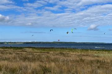 Ferieudlejning til 6 Personer i Bogø, Svenske Østersøen, Billede 4