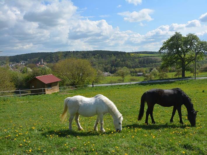 Ferienhaus für 4 Personen, mit Balkon und Balkon/Terrasse sowie Terrasse und Garten im Odenwald - 4