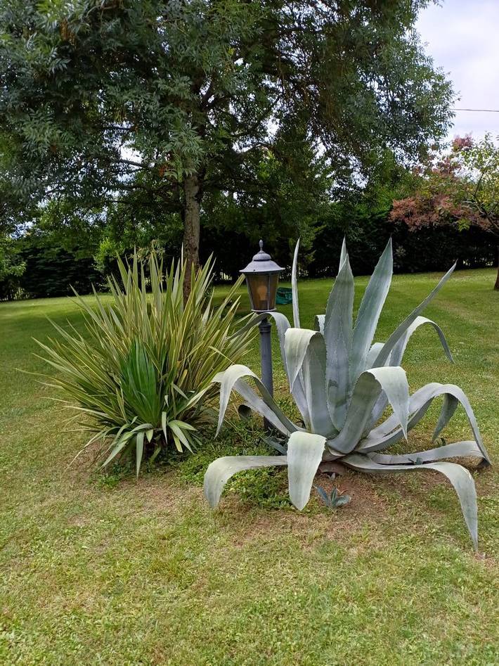 Chambre d’hôte pour 2 personnes, avec jacuzzi et jardin dans les Hautes-Pyrénées - 3