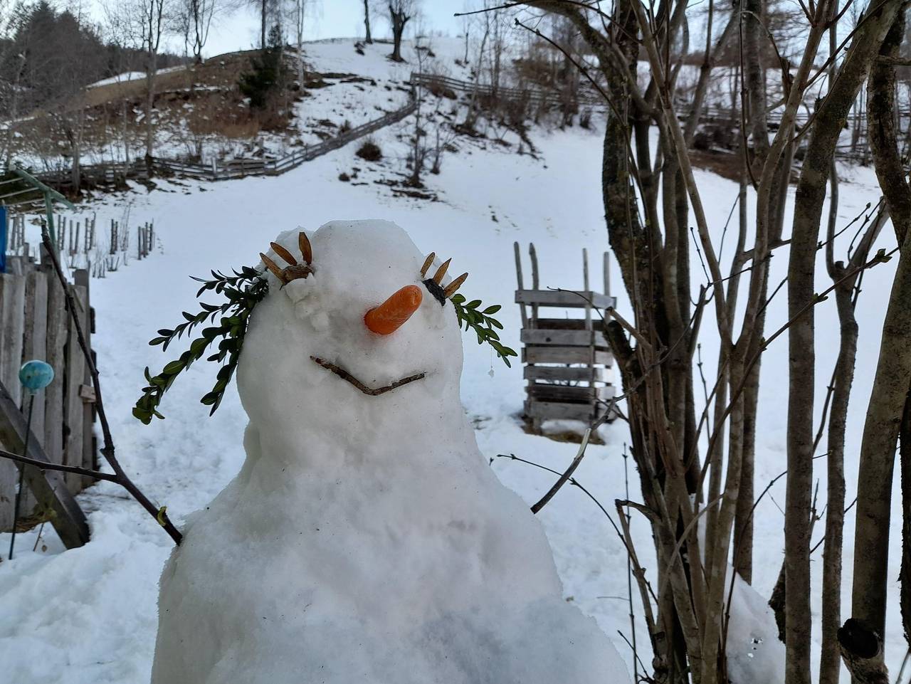 Ganze Ferienwohnung, Biohof Schott - Ferienwohnung am Biohof in Mörtschach, Oberkärnten