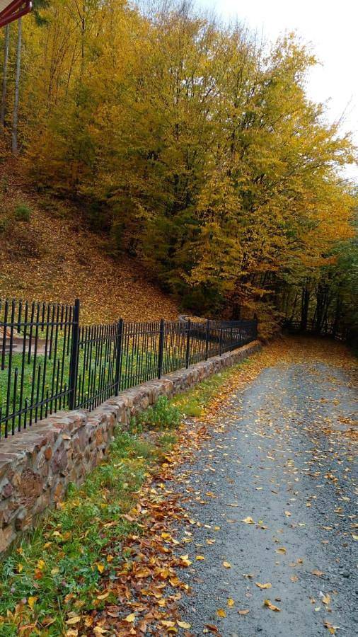 Location de vacances pour 7 personnes, avec vue et jardin à Alba (Romania) - 2