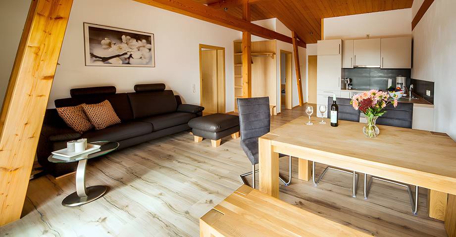 Studio entier, Appartement '30m², 1 pièce à vivre et à coucher' avec balcon et Wi-Fi in Radolfzell am Bodensee, Arrondissement de Constance