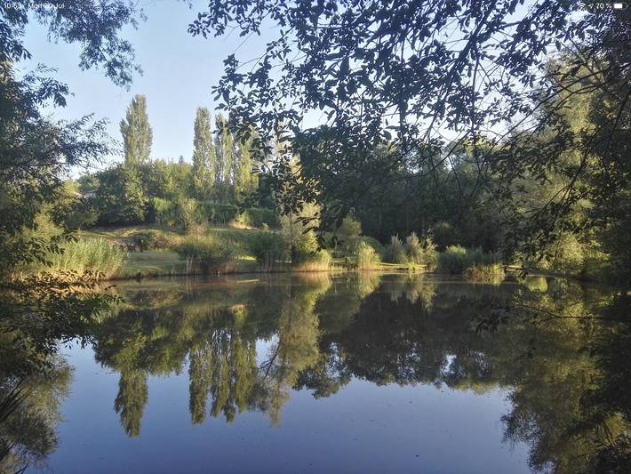 Gîte pour 8 personnes, avec Piscine à Saint-Martin-de-Gurson - 4