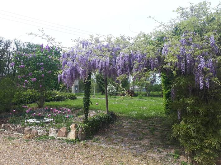Chambre d’hôte pour 6 personnes, avec jardin dans les Pays de la Loire - 4