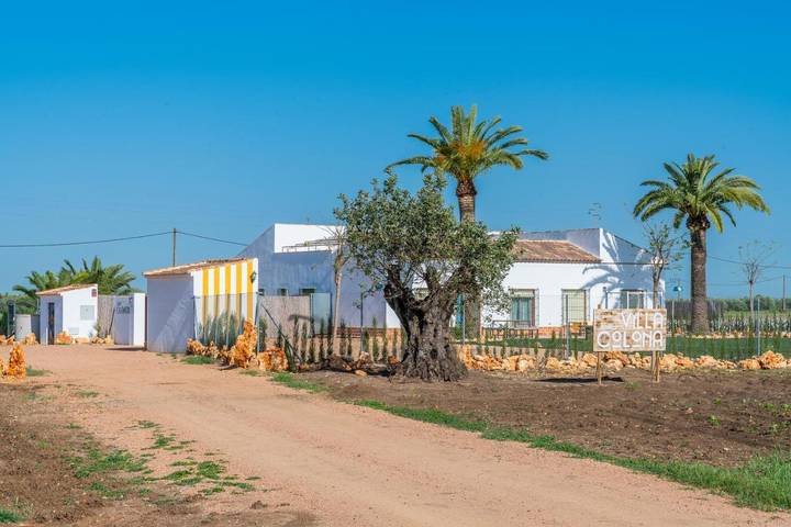 Casa rural para 14 personas, con vistas además de jardín y piscina, Se admiten mascotas en Écija - 4