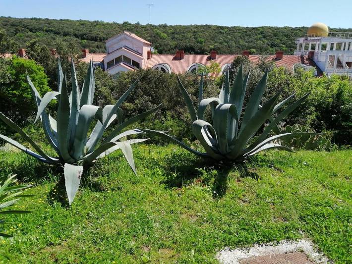 Ferienwohnung für 5 Personen, mit Terrasse in Duga Uvala